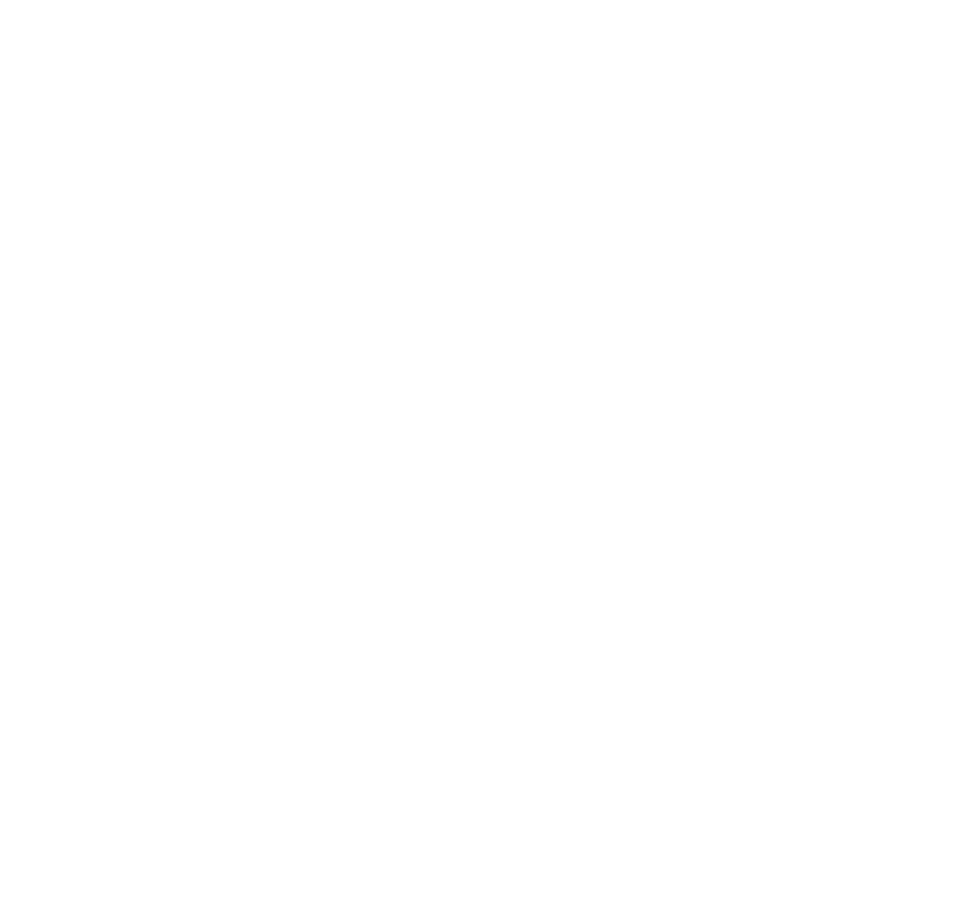 Goldsteine raptor mark